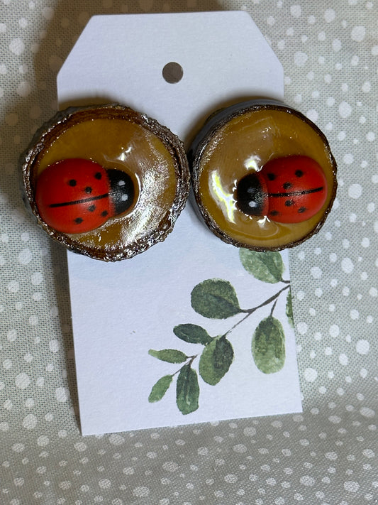 Ladybugs on wooden log stud earrings